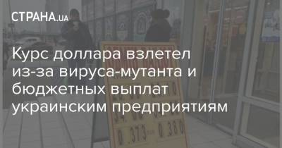Курс доллара взлетел из-за вируса-мутанта и бюджетных выплат украинским предприятиям - strana.ua