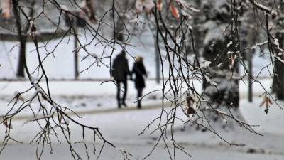 Морозный и ветреный вторник ждёт воронежцев - temavoronezh.ru - Воронеж - Черноземье