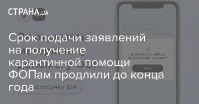 Срок подачи заявлений на получение карантинной помощи ФОПам продлили до конца года - strana.ua