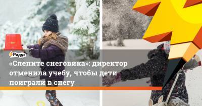 Вирджиния - «Слепите снеговика»: директор отменила учебу, чтобы дети поиграли в снегу - ridus.ru - США