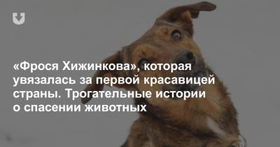 «Фрося Хижинкова», которая увязалась за первой красавицей страны. Трогательные истории о спасении животных - news.tut.by