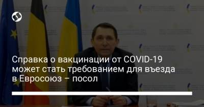 Справка о вакцинации от COVID-19 может стать требованием для въезда в Евросоюз – посол - liga.net - Украина - Брюссель