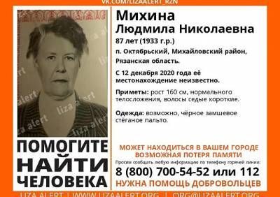 В Михайловском районе пропала 87-летняя женщина - ya62.ru - Рязанская обл. - район Михайловский