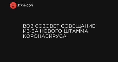 ВОЗ созовет совещание из-за нового штамма коронавируса - bykvu.com - Англия