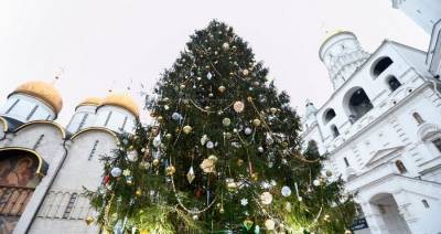 Елена Крылова - Главную новогоднюю елку украсили на Соборной площади - m24.ru - Москва - Фоминск