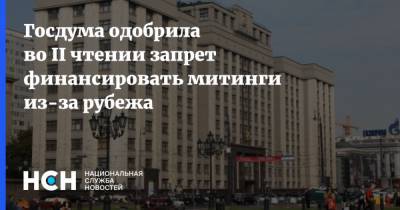 Госдума одобрила во II чтении запрет финансировать митинги из-за рубежа - nsn.fm