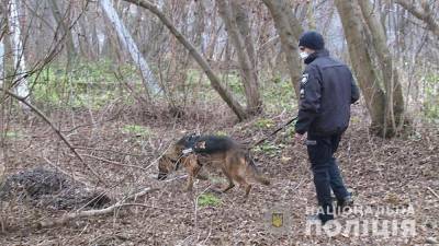 В Виннице от взрыва гранаты погиб мужчина: видео - 24tv.ua - Винницкая обл. - Новости