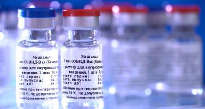 Сима Садат - Россия и Иран могут начать совместное производство вакцины от коронавируса - ru.armeniasputnik.am - Москва - Армения - Иран - Тегеран