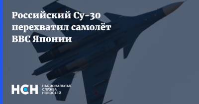 Российский Су-30 перехватил самолёт ВВС Японии - nsn.fm - Япония