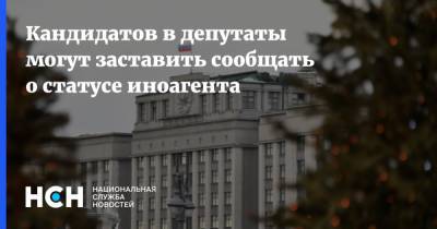 Ольга Савастьянова - Кандидатов в депутаты могут заставить сообщать о статусе иноагента - nsn.fm