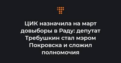 Руслан Требушкин - ЦИК назначила на март довыборы в Раду: депутат Требушкин стал мэром Покровска и сложил полномочия - hromadske.ua - Украина - Ивано-Франковская обл. - Покровск