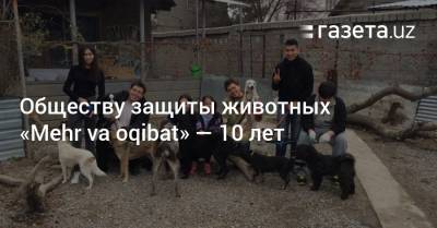 Обществу защиты животных «Mehr va oqibat» исполнилось 10 лет - gazeta.uz - Узбекистан