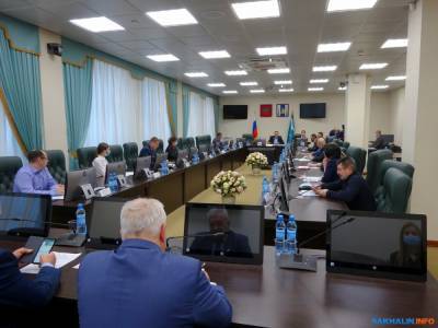 Общественный совет при облдуме будет решать рабочие вопросы без кошечек - sakhalin.info - Сахалинская обл.