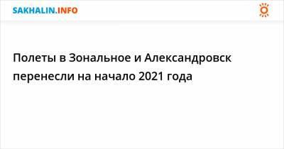 Полеты в Зональное и Александровск перенесли на начало 2021 года - sakhalin.info - Санкт-Петербург - Курил - Холмск - Александровск