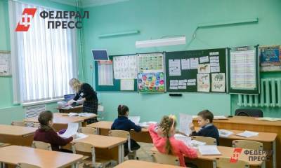 Раиса Кассина - На поощрение прикамских учителей в 2020 году направили 100 миллионов - fedpress.ru - Пермь - Пермский край
