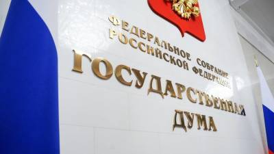Дмитрий Вяткин - Госдума приняла закон о запрете иностранного финансирования митингов - russian.rt.com