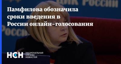 Элла Памфилова - Памфилова обозначила сроки введения в России онлайн-голосования - nsn.fm - Россия