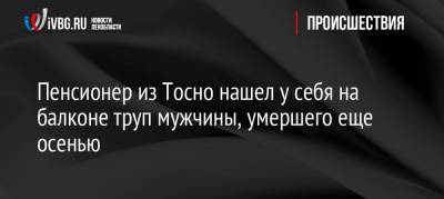Пенсионер из Тосно нашел у себя на балконе труп мужчины, умершего еще осенью - ivbg.ru - район Тосненский - Тосно