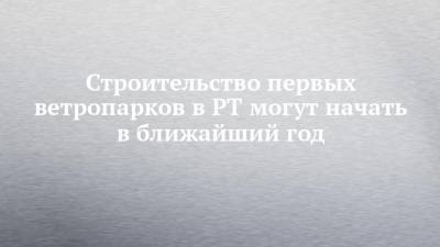 Альберт Каримов - Строительство первых ветропарков в РТ могут начать в ближайший год - chelny-izvest.ru - респ. Татарстан