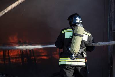 В Курганской области сгорел еще один дом: погибли мать и сын - znak.com - Курганская обл. - район Далматовский