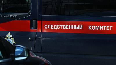 СК начал проверку информации о квартире вдовы актера Крючкова - iz.ru - Москва