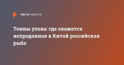 Тонны улова: где окажется непроданная в Китай российская рыба - ren.tv