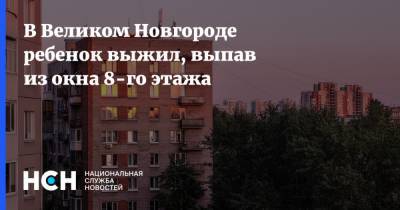 В Великом Новгороде ребенок выжил, выпав из окна 8-го этажа - nsn.fm - Великий Новгород - Великий Новгород
