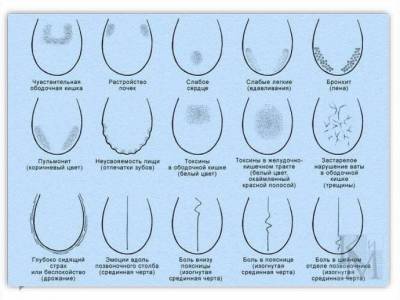 ​Как провести самодиагностику по языку, чтобы понять, к какому врачу обращаться - skuke.net