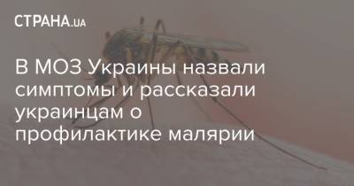 В МОЗ Украины назвали симптомы и рассказали украинцам о профилактике малярии - strana.ua