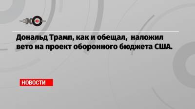 Дональд Трамп - Дональд Трамп, как и обещал, наложил вето на проект оборонного бюджета США. - echo.msk.ru - США