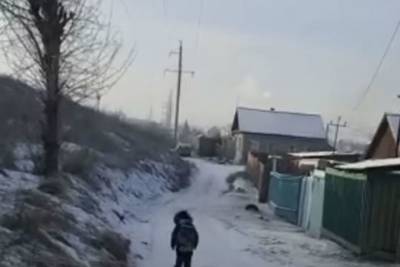 Чиновники Улан-Удэ предлагают увеличить штрафы владельцам собак до 50 тыс руб - ulan.mk.ru - Улан-Удэ - респ.Бурятия
