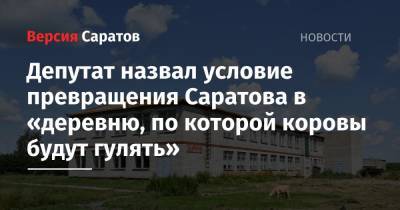 Депутат назвал условие превращения Саратова в «деревню, по которой коровы будут гулять» - nversia.ru - Саратов