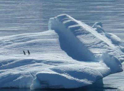 Над Антарктидой появилась самая большая за последнее десятилетие озоновая дыра - lenta.ua - Антарктида