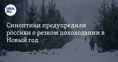 Юрий Варакин - Синоптики предупредили россиян о резком похолодании в Новый год - ura.news - Тюмень - Свердловская обл.