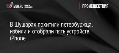 В Шушарах похитили петербуржца, избили и отобрали пять устройств iPhone - ivbg.ru - Санкт-Петербург