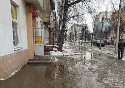 Работы по устранению «зеленого потопа» в центре Рязани завершены - ya62.ru - Рязань