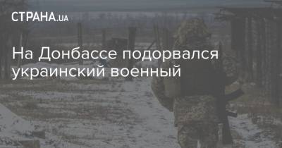 На Донбассе подорвался украинский военный - strana.ua - Донбасс - населенный пункт Красногоровка