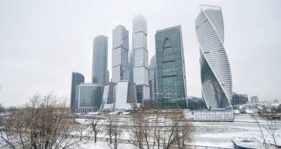 Татьяна Позднякова - Метеоролог рассказал, какая погода ждет Москву в новогоднюю неделю - m24.ru - Москва