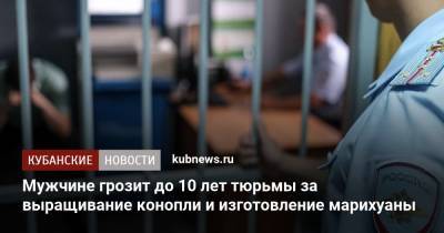 Мужчине грозит до 10 лет тюрьмы за выращивание конопли и изготовление марихуаны - kubnews.ru - район Приморско-Ахтарский