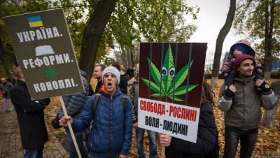 Кира Рудик - В Верховную раду внесли законопроект о легализации марихуаны - news-front.info - Украина