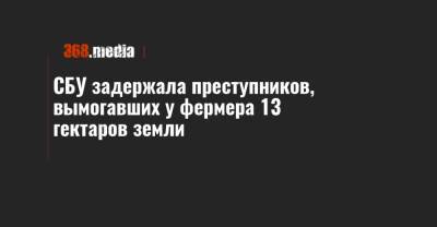 СБУ задержала преступников, вымогавших у фермера 13 гектаров земли - 368.media - Кировоградская обл.