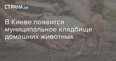 Алексей Кулеба - В Киеве появится муниципальное кладбище домашних животных - strana.ua - Киев