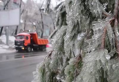 Готовьтесь к худшему: ледяной шторм и мокрый снег накроет Украину - agrimpasa.com