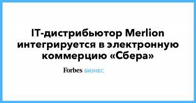 Лев Хасис - IT-дистрибьютор Merlion интегрируется в электронную коммерцию «Сбера» - forbes.ru
