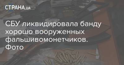 СБУ ликвидировала банду хорошо вооруженных фальшивомонетчиков. Фото - strana.ua - Киев - Киевская обл.