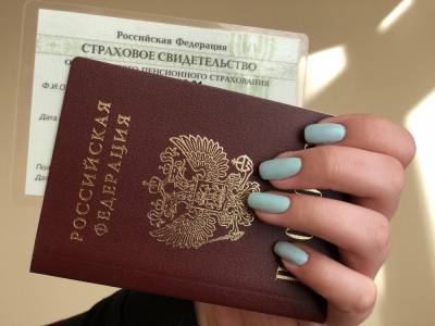 Аркадий Трачук - Названы популярные способы подделки российских паспортов - tvc.ru
