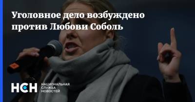 Любовь Соболь - Алексей Навальный - Иван Жданов - Уголовное дело возбуждено против Любови Соболь - nsn.fm