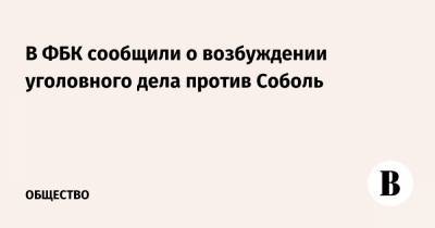 Любовь Соболь - Иван Жданов - В ФБК сообщили о возбуждении уголовного дела против Соболь - vedomosti.ru - Москва