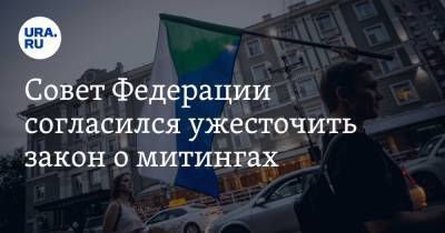 Совет Федерации согласился ужесточить закон о митингах - ura.news