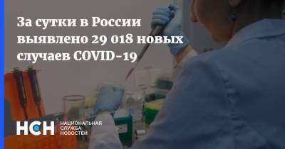 За сутки в России выявлено 29 018 новых случаев COVID-19 - nsn.fm